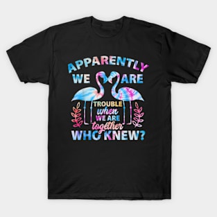 Apparently We're Trouble When We Are Cruising Together 2024 T-Shirt